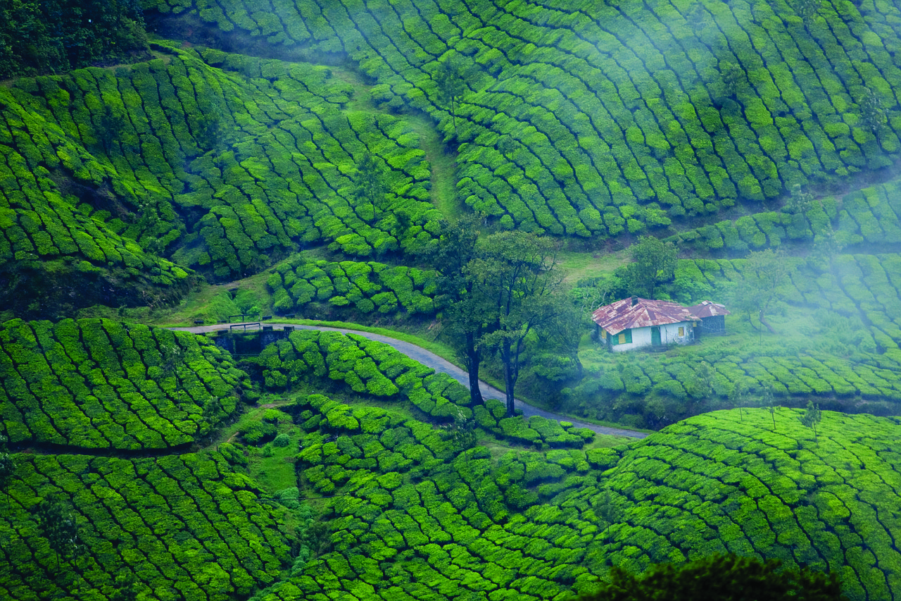 Munnar and Thekkady Adventure 3 Days